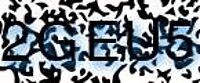 grafischer Sicherheitscode