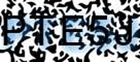 grafischer Sicherheitscode