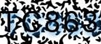 grafischer Sicherheitscode