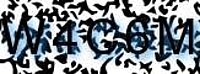 grafischer Sicherheitscode