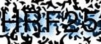 grafischer Sicherheitscode