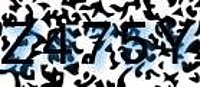 grafischer Sicherheitscode