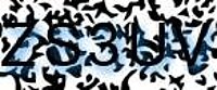 grafischer Sicherheitscode