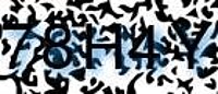grafischer Sicherheitscode