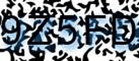 grafischer Sicherheitscode